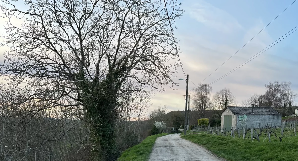 Otium, le stage de piano à Pouilly-sur-Loire