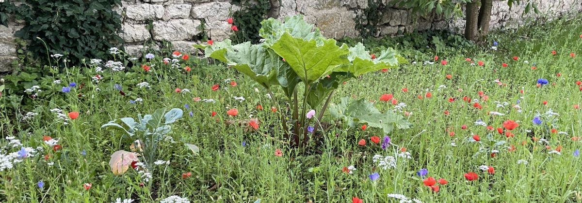 Otium, le stage de piano à Pouilly-sur-Loire