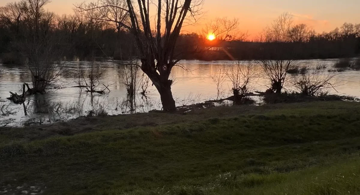 Otium, le stage de piano à Pouilly-sur-Loire