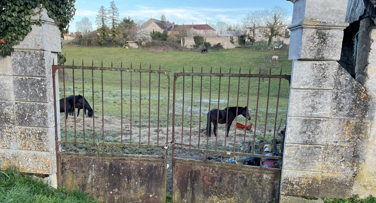 Otium, le stage de piano à Pouilly-sur-Loire