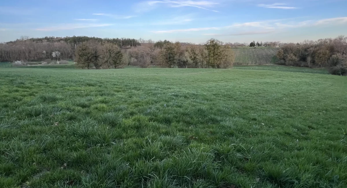 Otium, le stage de piano à Pouilly-sur-Loire
