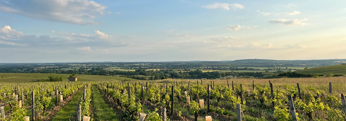 Otium, le stage de piano à Pouilly-sur-Loire